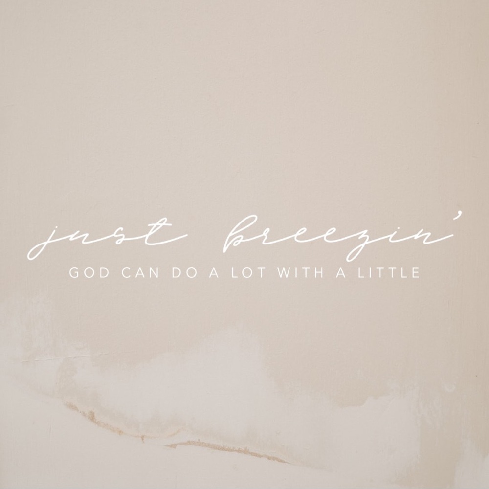 ✨LIKE TO BOOKMARK CLOSET✨Welcome to Just Breezin’!✨ - Picture 2 of 4